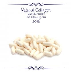 Marine Collagen Capsules