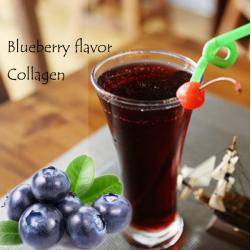 Blueberry Fish Collagen Solid Drink