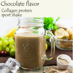 Fish Collagen Protein Sports Shake (Chocolate)