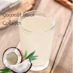 Coconut Flavor Fish Collagen Solid Drink